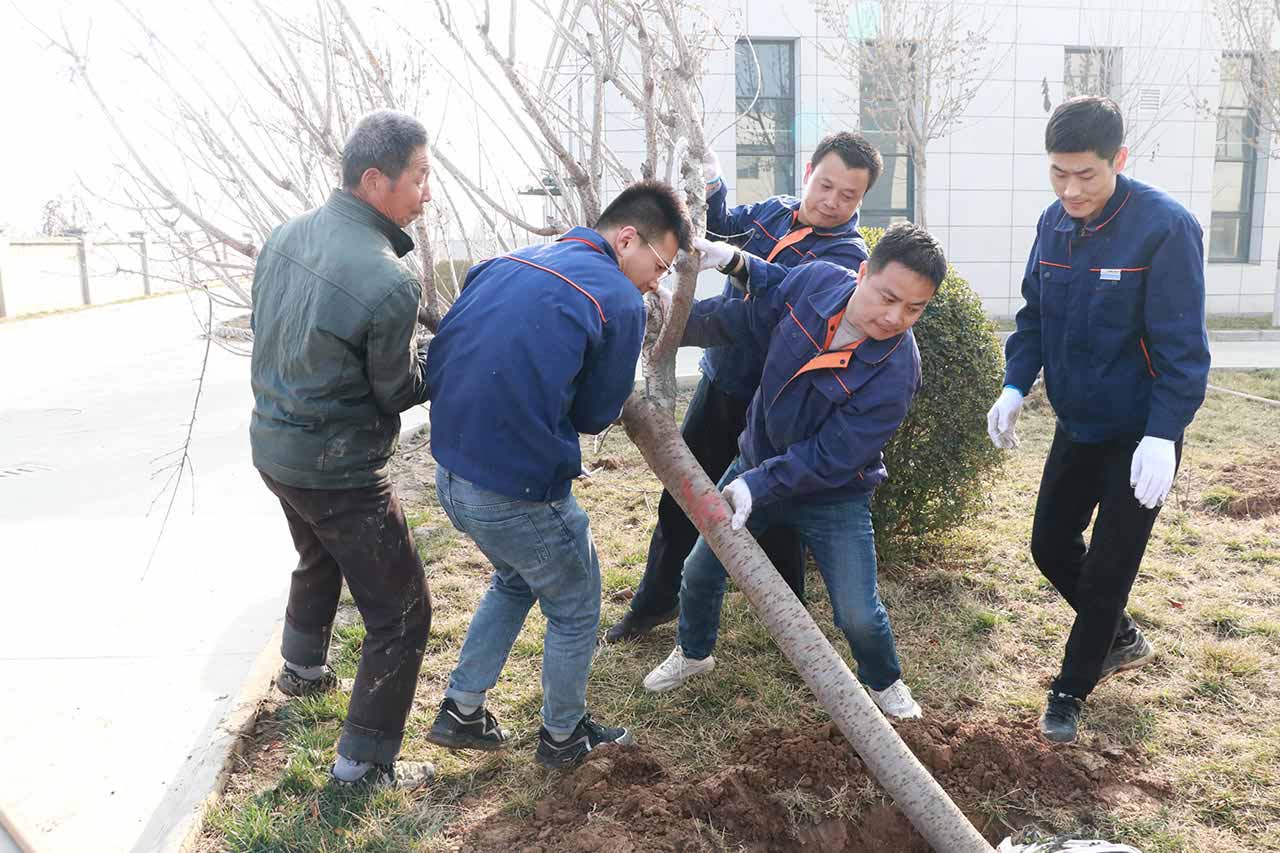 江蘇工廠植樹活動